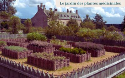 Château de la Roche Jagu : entre histoire médiévale et jardin remarquable